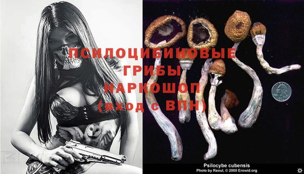 первитин Балахна
