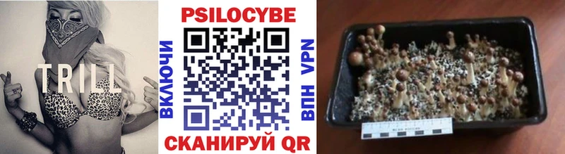 Псилоцибиновые грибы прущие грибы Унеча