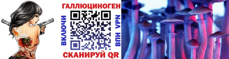 Галлюциногенные грибы Psilocybe  это какой сайт  Унеча  наркошоп 