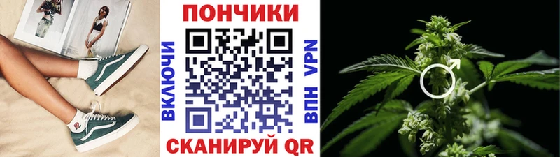 Бошки Шишки SATIVA & INDICA  цены наркотик  Унеча 